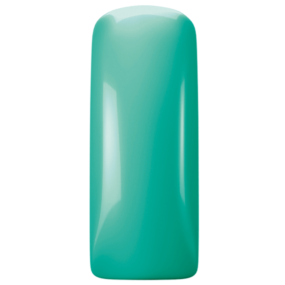Magnetic Gelpolish Mojito