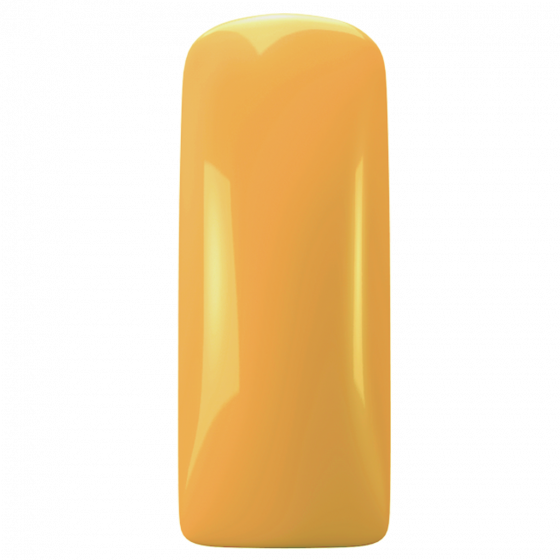 Magnetic Gelpolish Champagne Yellow