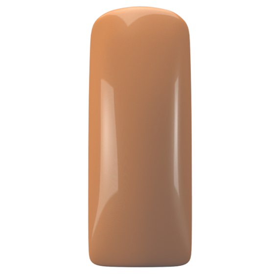 Magnetic Gelpolish Soft Focus