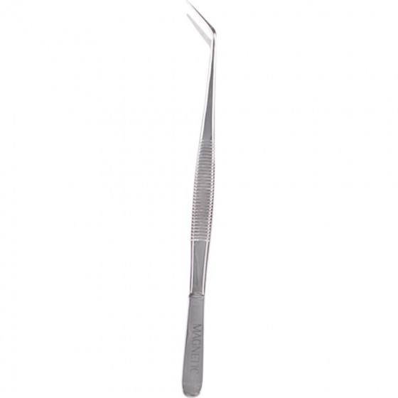 Magnetic Tweezer