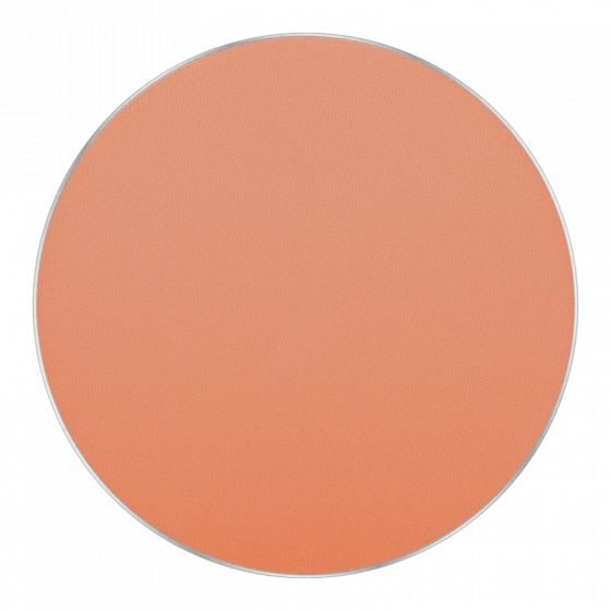 Inglot Freedom System Mattifying Pressed Powder Round 305