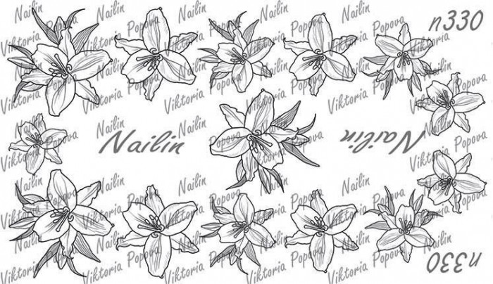 Nailin Wrap design 330