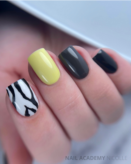 Grey and Yellow Zebra