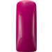 Magnetic Gelpolish Wild Cat