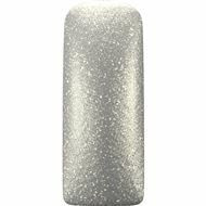 Magnetic One Coat Color Gel True Silver