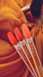 Magnetic Gelpolish Orange 2