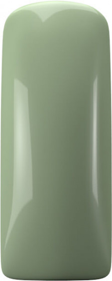 Magnetic Longlasting Nagellak - Gracious Green