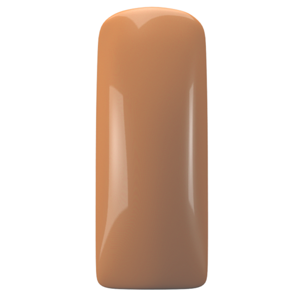 Magnetic Gelpolish Soft Focus