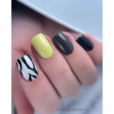 Grey and Yellow Zebra