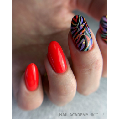 Colorful Zebra Print