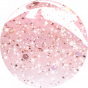 Inveray UV/LED Gel Nail Polish N°41 SHINE