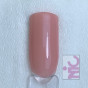 Magnetic Gelpolish Erotic Decency