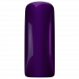Magnetic Gelpolish Purple Beatle