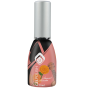 Magnetic Gelpolish Sunset Sonata