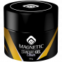 Magnetic Standard Gel Clear 50 gr.