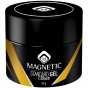 Magnetic Standard Gel Clear 30 gr. 