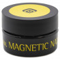 Sample Magnetic Standard Gel Clear 5 gr. 