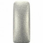 Magnetic One Coat Color Gel True Silver