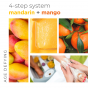 BCL SPA Packet Box - Mandarin + Mango 4-step (sachets)