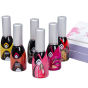 Magnetic Gelpolish Introductie pakket