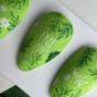 Cursus Stamping Nailart