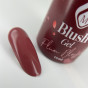 Magnetic Blush Gel 'Plum Blossom'