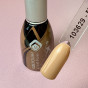 Magnetic Gelpolish Soft Focus