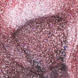 Inveray UV/LED Gel Nail Polish N°262 APHRODITE'S SPARKS