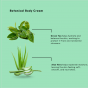 BCL SPA Revive Botanical Body Cream Green Tea 89 ml