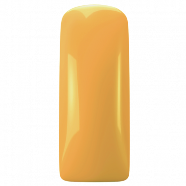 Magnetic Gelpolish Champagne Yellow