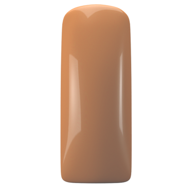 Magnetic Gelpolish Soft Focus