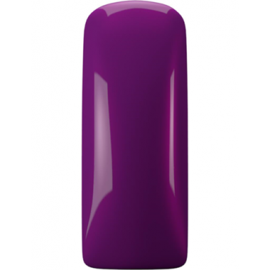 Magnetic One Coat Color Gel Purple