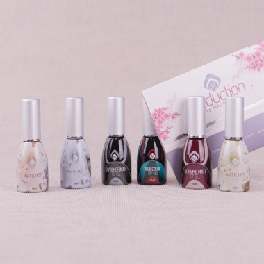 Magnetic Top Gel Introductie pakket