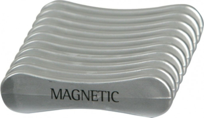 Magnetic Brush Tray
