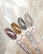 Magnetic Gelpolish Cat Eye 1