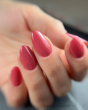 Magnetic Gelpolish Grace Rose